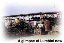 A glimpse of Lumbini now