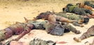 VICTIMS OF WAR: Bodies of Tiger guerrilla cadres lay strewn near Muhamalai
