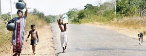 One of the worst droughts in recent history has affected hundreds of thousands of people and threatens to destroy more than 150,000 acres of paddy and other crops. Picture shows a tragic scene in the Puttalam District where a drought-stricken mother and a child accompanied by their thirsty dog, carrying some water from far away to meet their urgent needs. Pic by Hiran Priyankara Jayasinghe