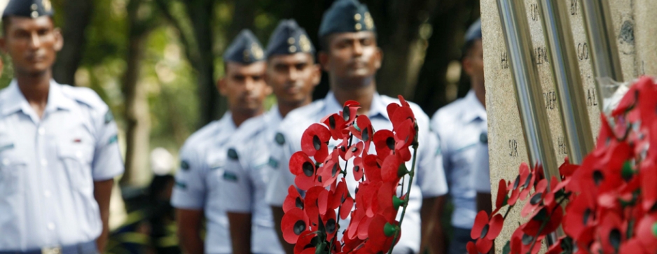 Paper poppies that go a long way