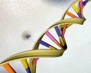 US proposes effort to analyze DNA from 1 million people