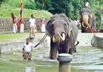 Pond for perahera elephants