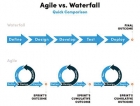 “Agile ways of working” for Fast Moving Consumer Goods Industry; Success or Failure?