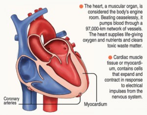 COVID-19 can affect your heart; take care of it