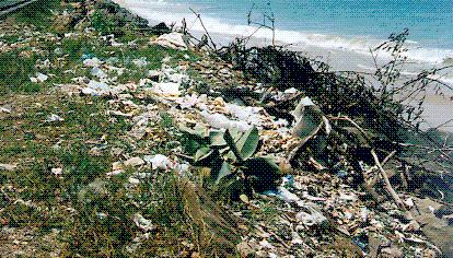 JPEG Of polluted beach - Size 47KB