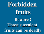 Forbidden fruits ......