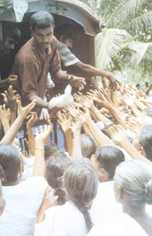 Scores of hungry hands reach out for free food at a Poson Day Dane at the Kelaniya Temple 