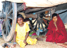 Two displaced Muslim children from Mutur find a makeshift home not in but under a bullock cart at Kantale yesterday.