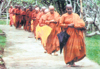 Bhikkhunis at the Centre making their way to the Dana Sala for thir midday meal
