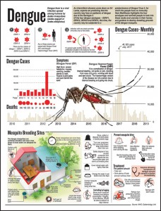 Dengue | The Sunday Times Sri Lanka