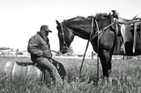 Lankan cowboy back home to make  horse-themed park a reality