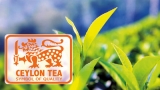 Dilemma : IMF or Ceylon Tea?