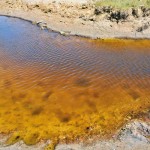 Contaminated water in the stream days after the incident