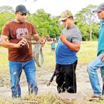 Part of the wire trap that killed the elephant