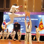 A taekwondo performance at the event Pix by Indika Handuwala
