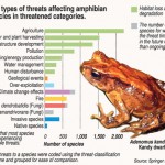 AmphibianGra