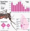 Dengue patient count leaps past 63,500; 45 high risk areas identified