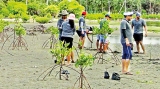 UN lauds Sri Lanka’s mangrove forestation as example to the world