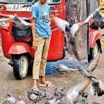 Colombo: Feeding the multitudes