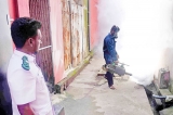 Monsoon rains set stage for dengue outbreak in Colombo