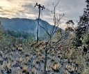 Two fires in Badulla district destroy 60 acres of forestland