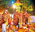 Amidst shortage of perahera elephants, nilames ask for licence to capture