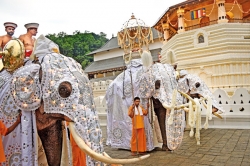 Kandy’s most spectacular pageant begins