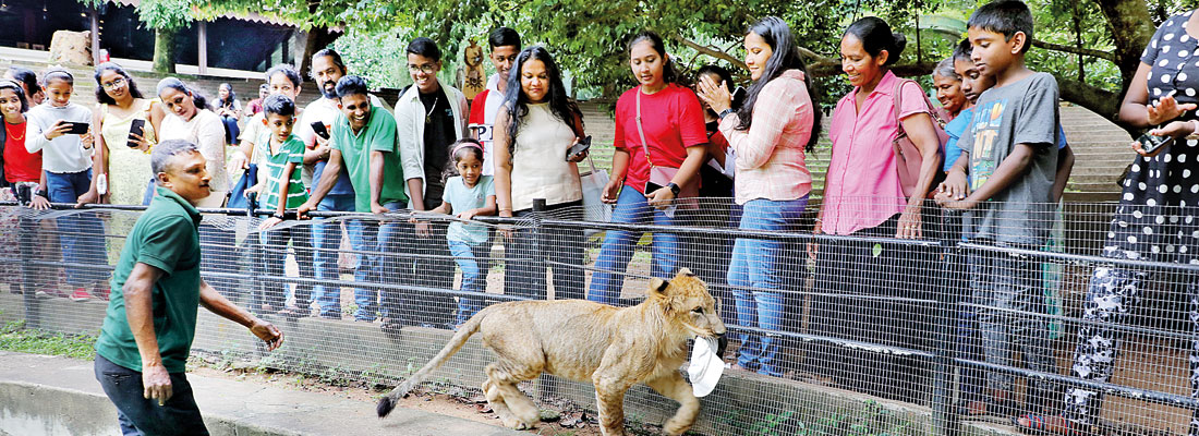 Preserving wonder: The vital role of Colombo Zoo in conservation, children’s lives and urban ecology