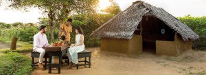 Jetwing Jungle Lodge, Yala: Sustainable luxury | Print edition