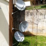 Trincomalee Dish guard