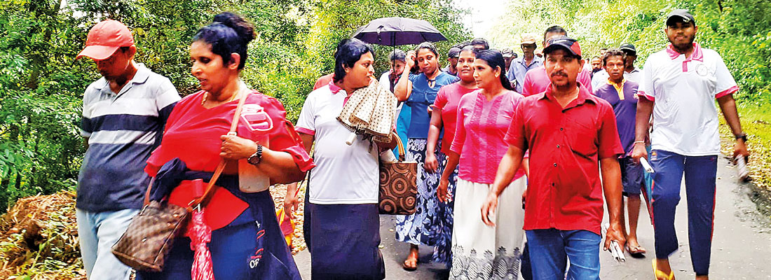 Sabaragamuwa: NPP canvassing in top gear, little or no polls violations reported