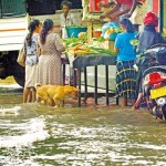 COLOMBO- Pix by Eshan Fernando