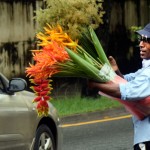 Colombo 7 Blooming business