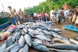 Fuel subsidy lifeline for Sri Lanka’s fishermen