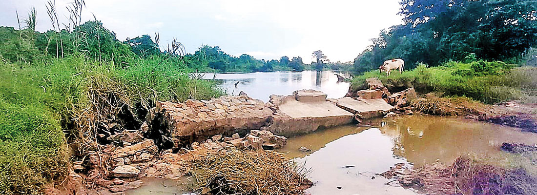 1500 families affected  by the flooding of Kadupitiya Oya