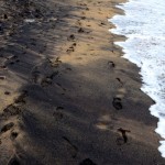 Modara Footprints in the sand