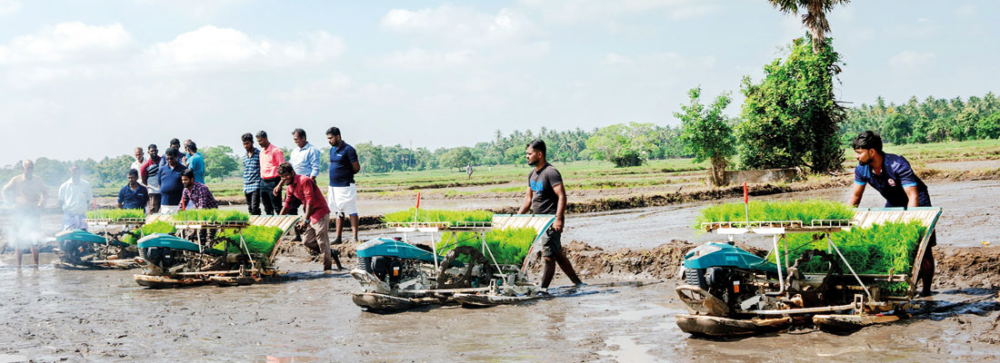 ComBank takes advanced agriculture to Sri Lankan farmers, village by village