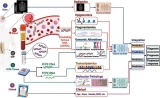 Decoding Cancer: How Data Science is Personalizing Treatment and Saving Lives