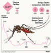 3,915 dengue cases for this month while 19 MOH areas flagged as high risk