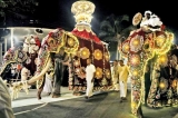 Sights and sounds of Gangaramaya perahera