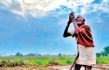 Whither Sri Lanka’s paddy farmer?