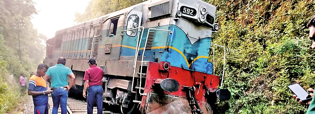 Tragic multiple deaths of elephants in rail accident sheds light on recurring issue