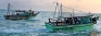 Poor digital literacy among fishermen delaying digital shift in catch certification as recommended by EU