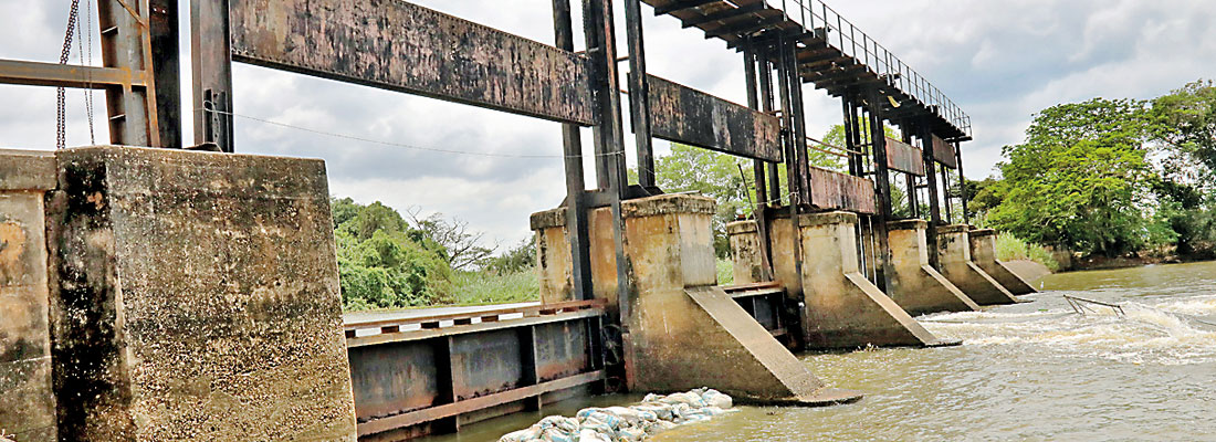 Saltwater sours livelihoods and lives of 15,000 residents in Madampe