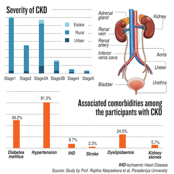 How to protect your kidneys