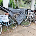 Mahawewa Bicycle sale