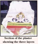 Section of the laster showing the three layers